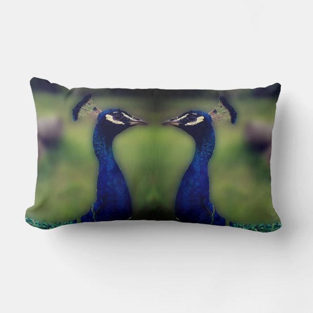Beautiful Peacock Photo Lumbar Pillow (Front)