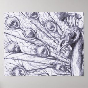 Beautiful peacock poster