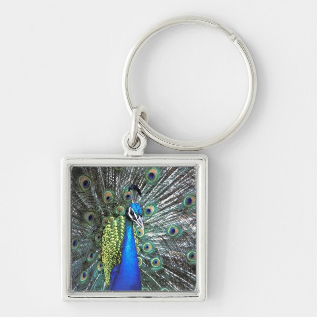 Beautiful peacock spreading colourful feathers key ring (Front)