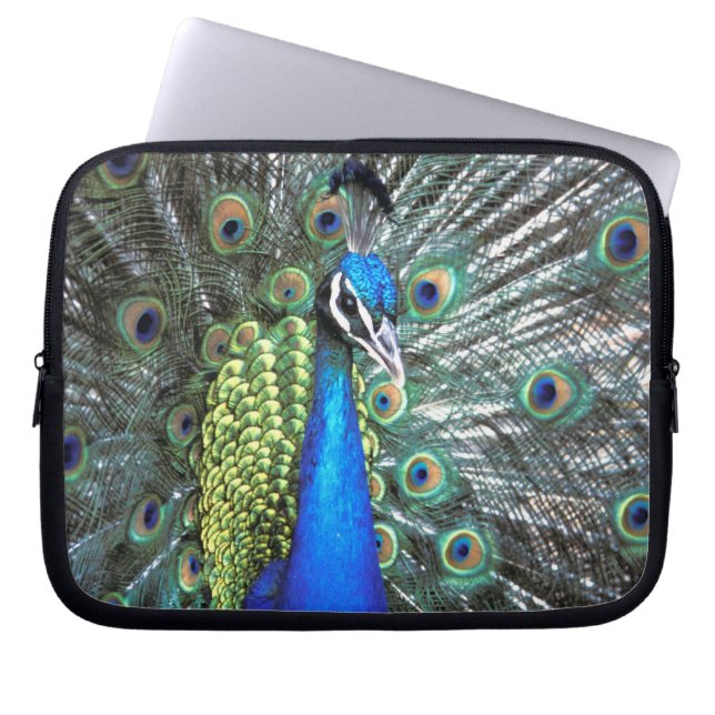 Beautiful peacock spreading colourful feathers laptop sleeve (Front)