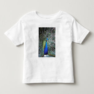 Beautiful peacock spreading colourful feathers toddler T-Shirt