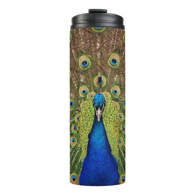 Beautiful peacock thermal tumbler (Front)