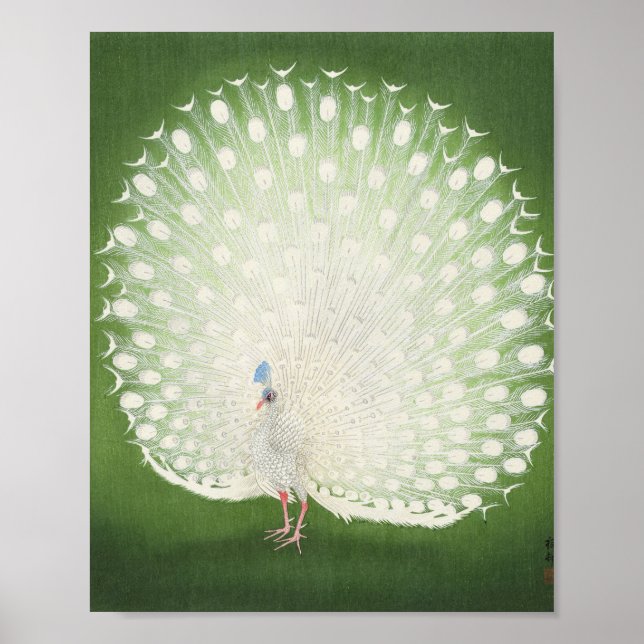 Beautiful Peacock Vintage Poster (Front)