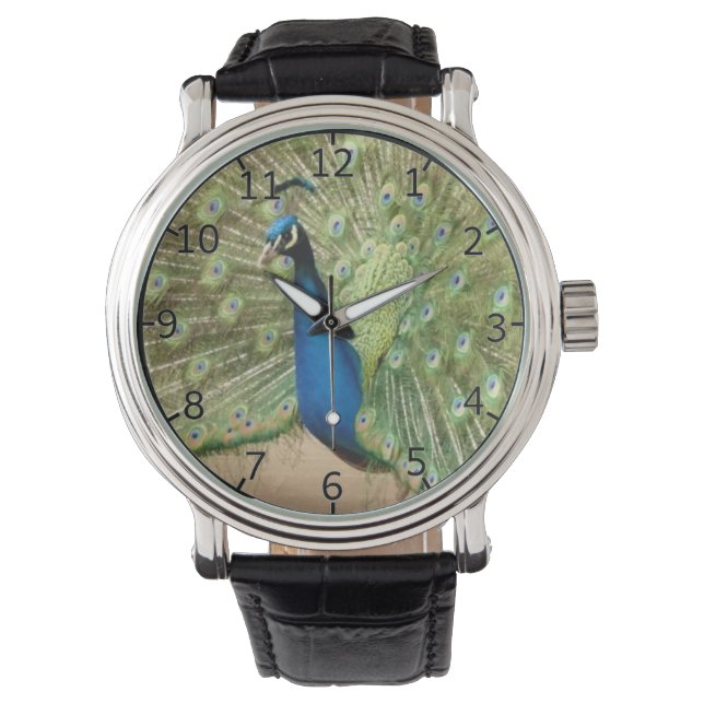 Beautiful Peacock Watch (Front)