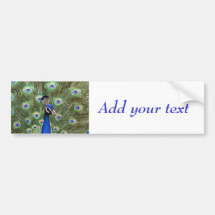 Beautiful peacock with its colourful tail opened bumper sticker