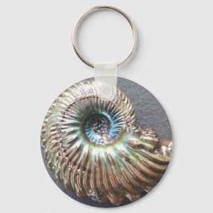 Beautiful pearly shelled ammonite fossil key ring