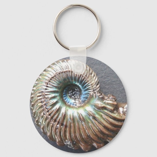 Beautiful pearly shelled ammonite fossil key ring (Front)