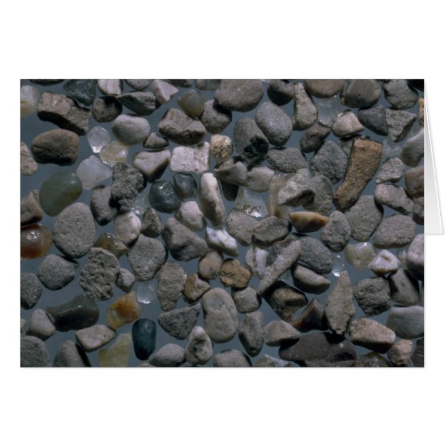 Beautiful Pebbles from Agate Beach, Bolinas (Front Horizontal)