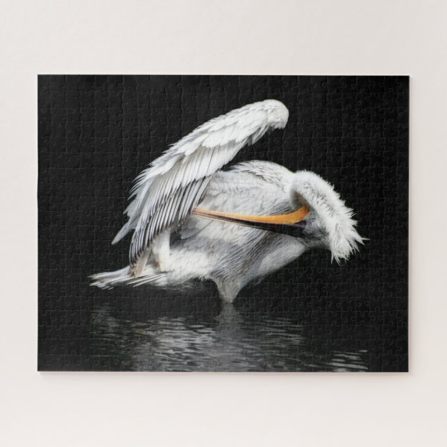 Beautiful Pelican, Jigsaw Puzzle (Horizontal)