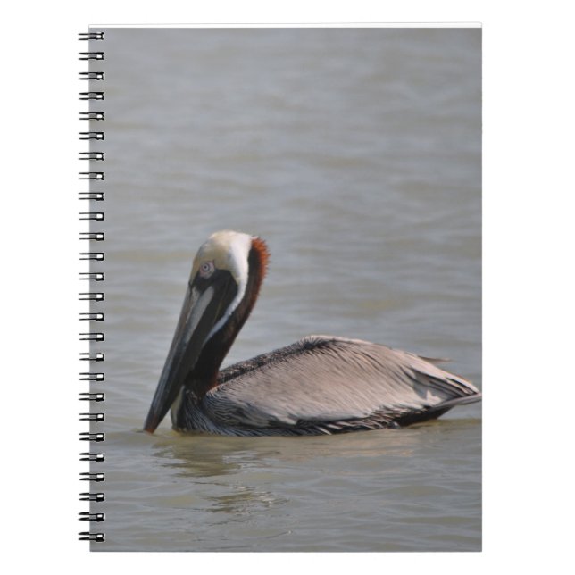 Beautiful Pelican Notebook (Front)