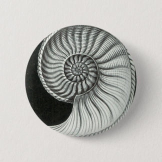 Beautiful pencil drawing of Amaltheus ammonite 6 Cm Round Badge