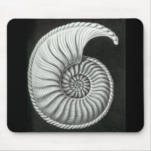 Beautiful pencil drawing of Amaltheus ammonite Mouse Pad