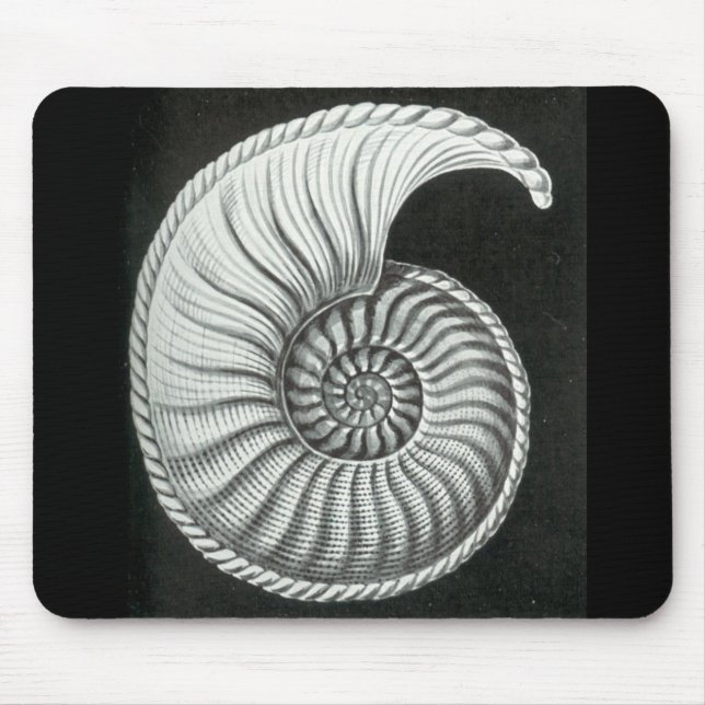 Beautiful pencil drawing of Amaltheus ammonite Mouse Pad (Front)