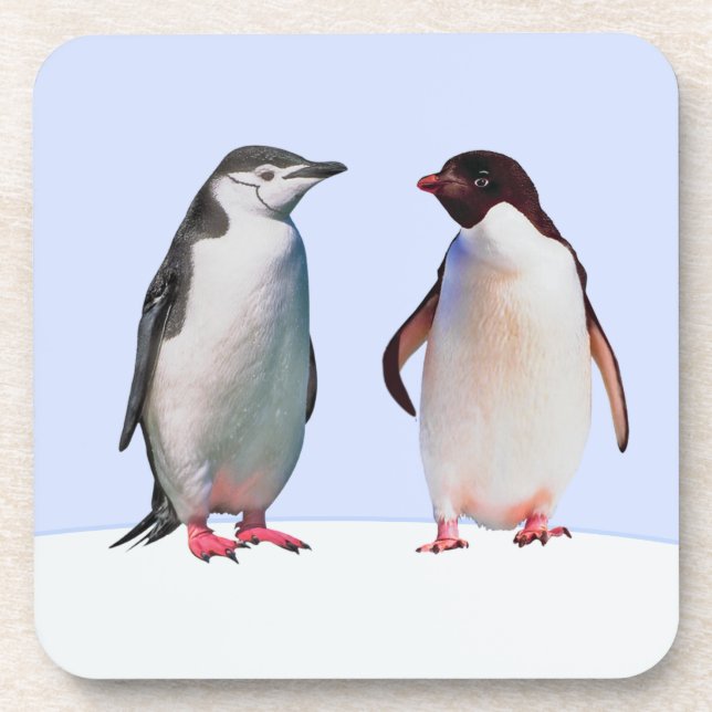 Beautiful Penguin Bird Couple on Light Blue Coaster (Front)
