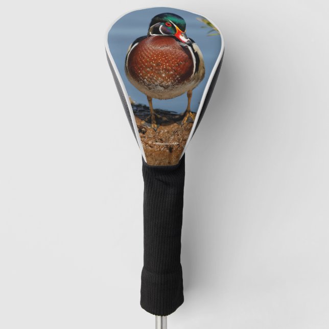 Beautiful Pensive Wood Duck in the Marsh Golf Head Cover (Front)