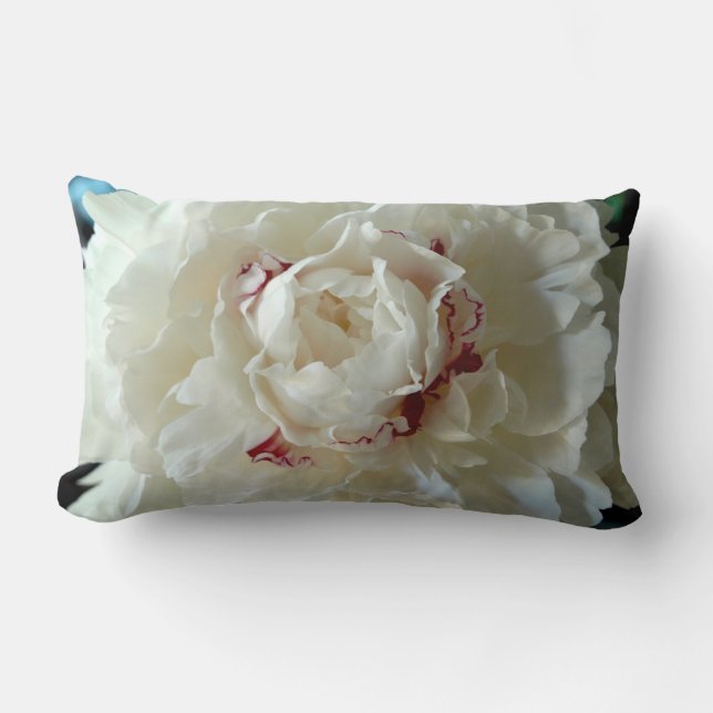 Beautiful Peony Bloom Lumbar Cushion (Front)