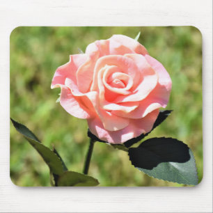 Beautiful Perfect Pink Rose Flower Mouse Pad