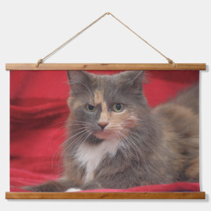 Beautiful Pet Cat Relaxing Against Red Background Hanging Tapestry
