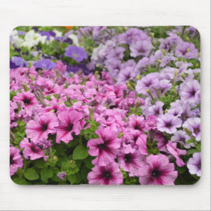 Beautiful petunia flowers mouse pad