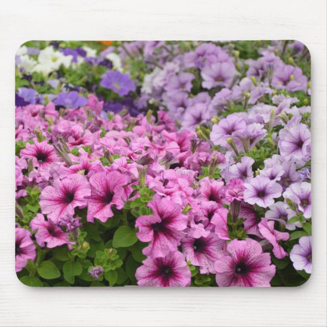 Beautiful petunia flowers mouse pad (Front)