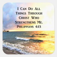 BEAUTIFUL PHILIPPIANS 4:13 SCRIPTURE PHOTO