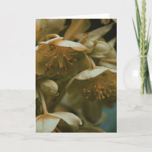 Beautiful photography floral flower blank card