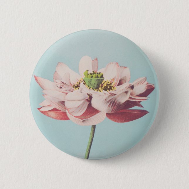 Beautiful photomechanical prints of Lotus Flowers 6 Cm Round Badge (Front)