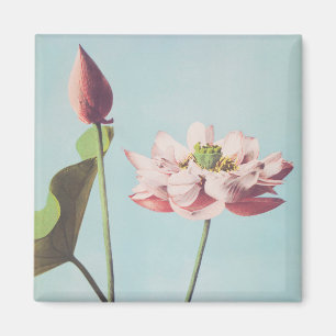 Beautiful photomechanical prints of Lotus Flowers Magnet