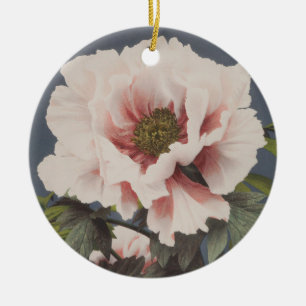 Beautiful photomechanical prints of Peony Flowers Ceramic Ornament