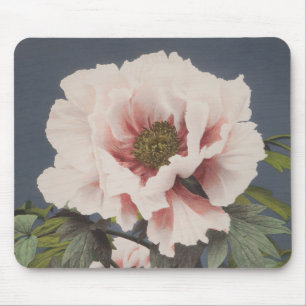 Beautiful photomechanical prints of Peony Flowers Mouse Pad