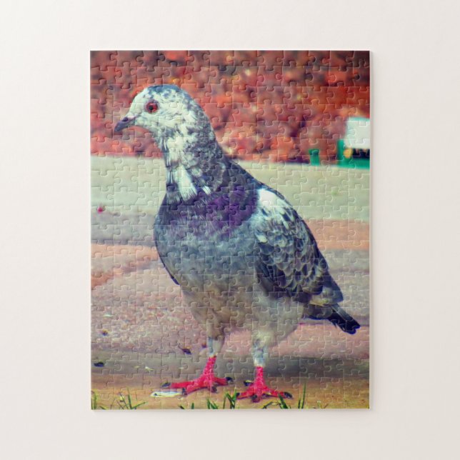 Beautiful Pigeon Jigsaw Puzzle (Vertical)