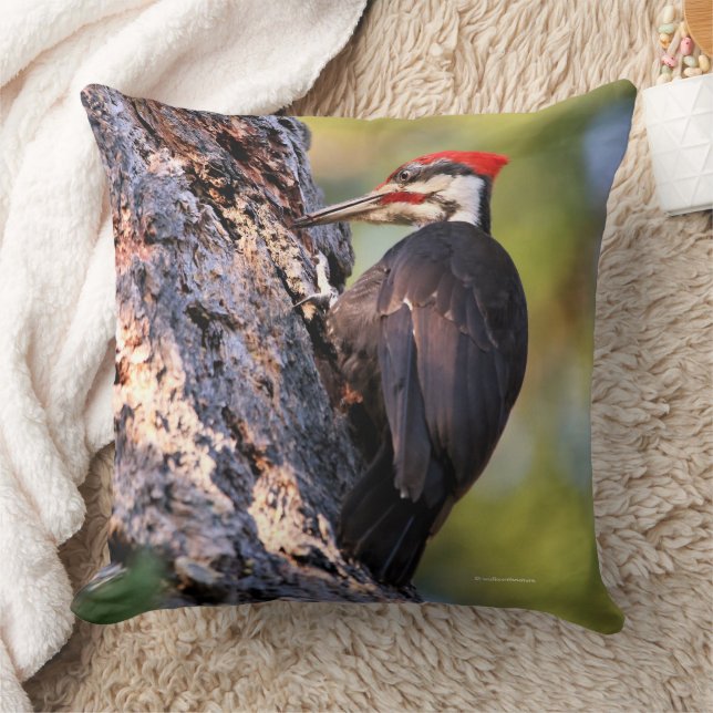 Beautiful Pileated Woodpecker Bird in Tree Cushion (Blanket)