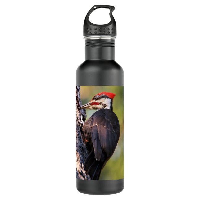 Beautiful Pileated Woodpecker on the Tree 710 Ml Water Bottle (Front)