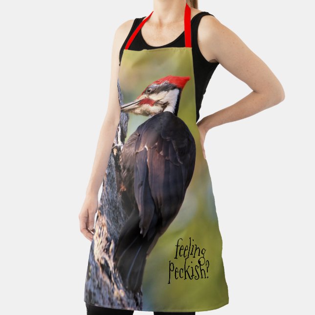 Beautiful Pileated Woodpecker on the Tree Apron (Insitu)