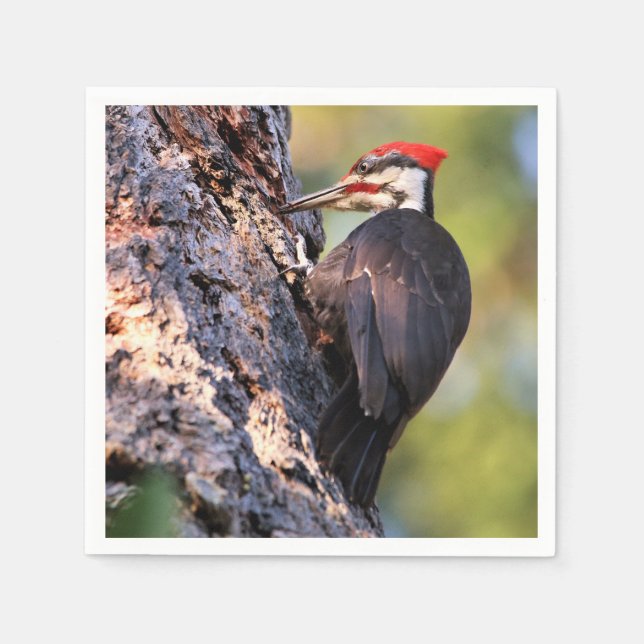 Beautiful Pileated Woodpecker on the Tree Napkin (Front)