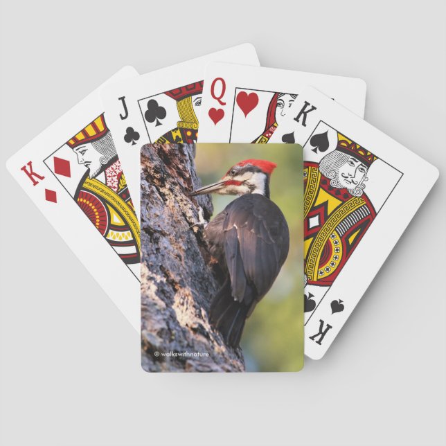 Beautiful Pileated Woodpecker on the Tree Playing Cards (Back)