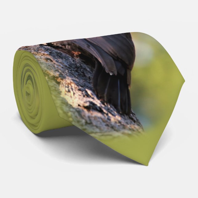 Beautiful Pileated Woodpecker on the Tree Tie (Rolled)