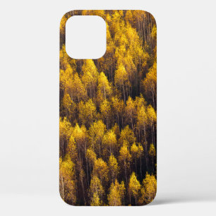 BEAUTIFUL PINE TREE FOREST iPhone 12 CASE