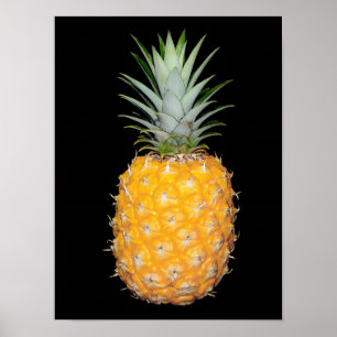 Beautiful PINEAPPLE Poster on Black Background