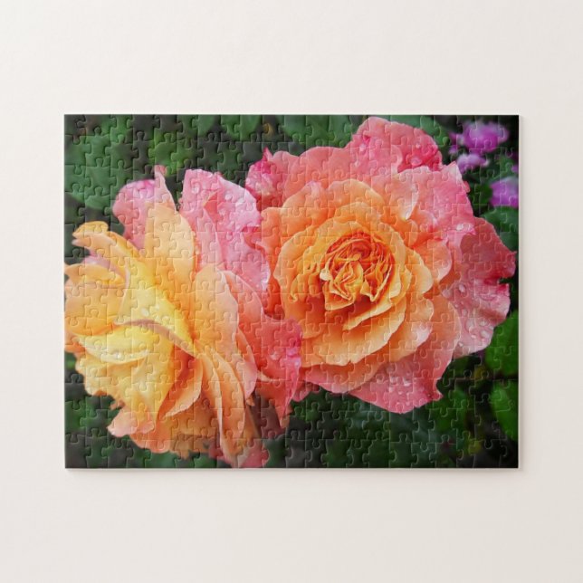Beautiful pink and orannge rose photo jigsaw puzzle (Horizontal)
