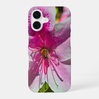 beautiful pink azalea flowers at Descanso Gardens iPhone 16 Case