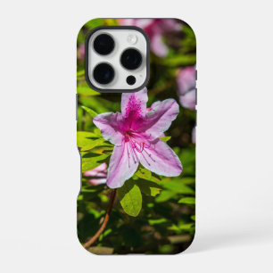 beautiful pink azalea flowers at Descanso Gardens  iPhone 16 Pro Case
