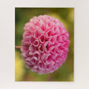 Beautiful Pink Ball Dahlia Flower Jigsaw Puzzle