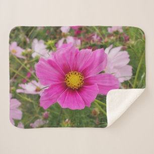 Beautiful Pink Cosmos Flower Sherpa Blanket