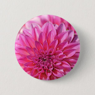 Beautiful pink dahlia flower blossoms 6 cm round badge