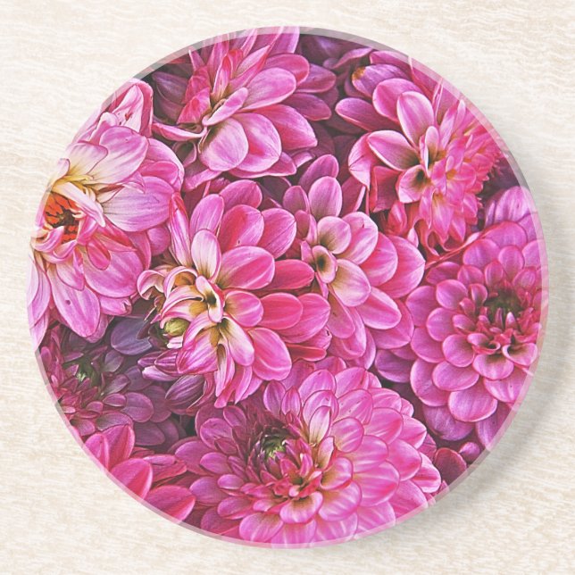 Beautiful pink dahlias coaster (Front)