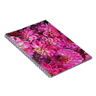 Beautiful pink dahlias notebook
