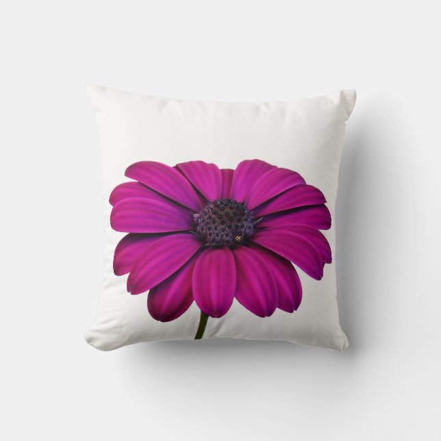 Beautiful Pink Daisy Cushion (Front)