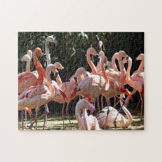Beautiful Pink Flamingos Jigsaw Puzzle (Horizontal)