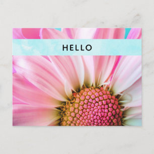 Beautiful Pink Flower Close Up Photo Hello Postcard